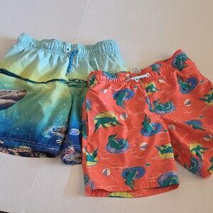 Wonder nation Kids Swim Shorts - Coral Shark Print & Aqua Ocean